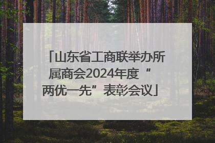 山东省工商联举办所属商会2024年度“两优一先”表彰会议