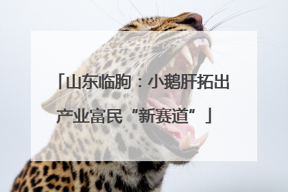 山东临朐：小鹅肝拓出产业富民“新赛道”