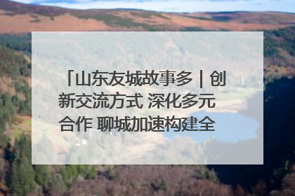 山东友城故事多｜创新交流方式 深化多元合作 聊城加速构建全球友城新格局