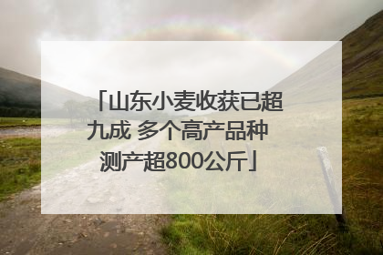 山东小麦收获已超九成 多个高产品种测产超800公斤