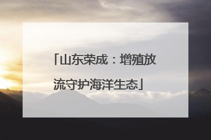 山东荣成：增殖放流守护海洋生态