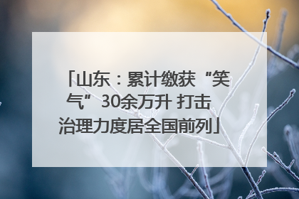 山东：累计缴获“笑气”30余万升 打击治理力度居全国前列