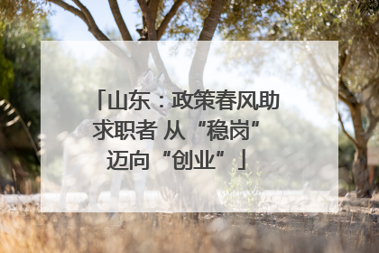山东：政策春风助求职者 从“稳岗”迈向“创业”