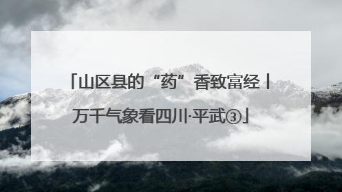山区县的“药”香致富经丨万千气象看四川·平武③