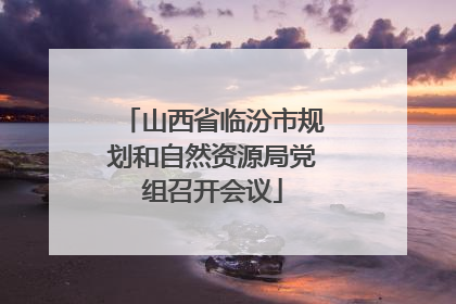 山西省临汾市规划和自然资源局党组召开会议