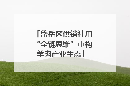 岱岳区供销社用“全链思维”重构羊肉产业生态