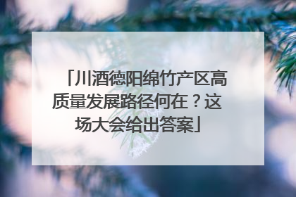 川酒德阳绵竹产区高质量发展路径何在？这场大会给出答案
