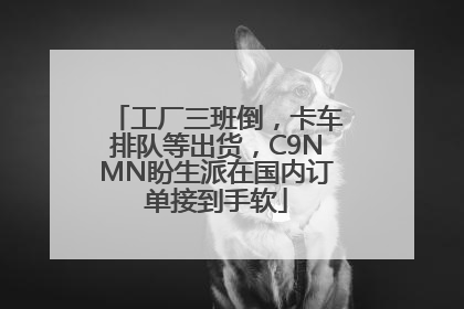 工厂三班倒，卡车排队等出货，C9NMN盼生派在国内订单接到手软