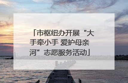 市枢纽办开展“大手牵小手 爱护母亲河”志愿服务活动