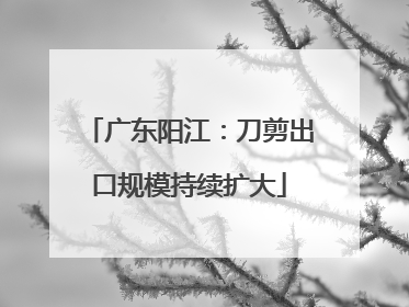 广东阳江：刀剪出口规模持续扩大