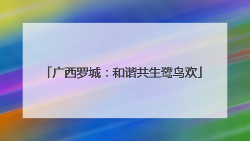 广西罗城：和谐共生鹭鸟欢