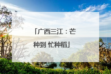 广西三江：芒种到 忙种稻