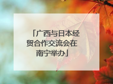 广西与日本经贸合作交流会在南宁举办