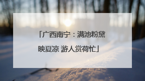 广西南宁：满池粉黛映夏凉 游人赏荷忙