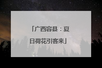 广西容县：夏日荷花引客来