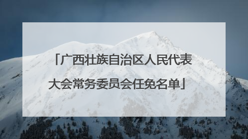 广西壮族自治区人民代表大会常务委员会任免名单