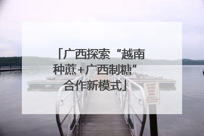 广西探索“越南种蔗+广西制糖”合作新模式