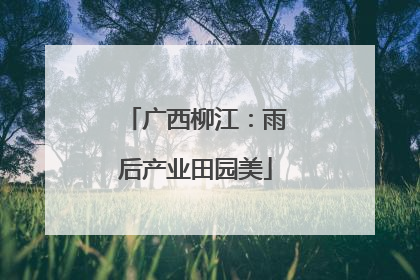 广西柳江：雨后产业田园美