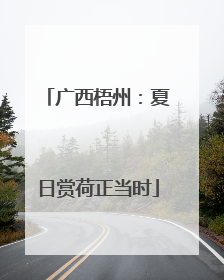 广西梧州：夏日赏荷正当时