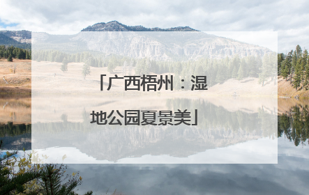 广西梧州：湿地公园夏景美