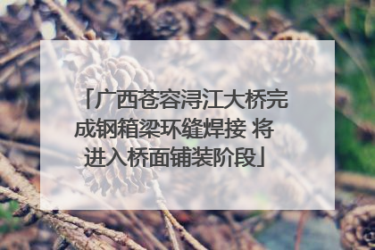 广西苍容浔江大桥完成钢箱梁环缝焊接 将进入桥面铺装阶段