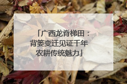 广西龙脊梯田：背篓变迁见证千年农耕传统魅力