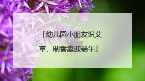 幼儿园小朋友识艾草、制香囊迎端午