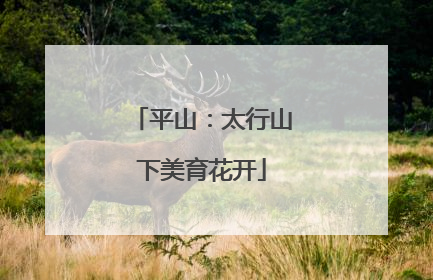平山：太行山下美育花开