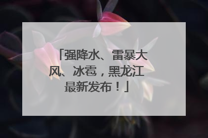 强降水、雷暴大风、冰雹，黑龙江最新发布！