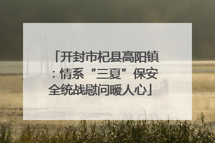 开封市杞县高阳镇：情系“三夏”保安全统战慰问暖人心