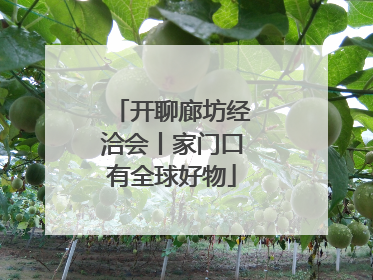 开聊廊坊经洽会丨家门口有全球好物