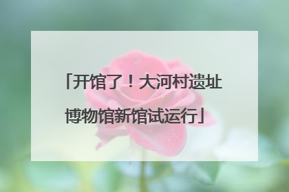 开馆了！大河村遗址博物馆新馆试运行