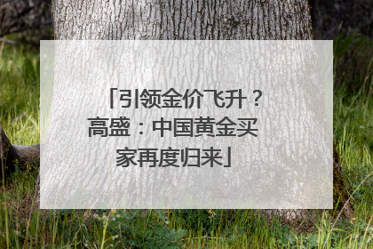 引领金价飞升？高盛：中国黄金买家再度归来