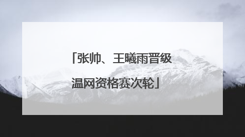 张帅、王曦雨晋级温网资格赛次轮