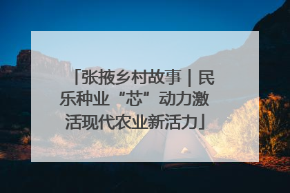 张掖乡村故事｜民乐种业“芯”动力激活现代农业新活力