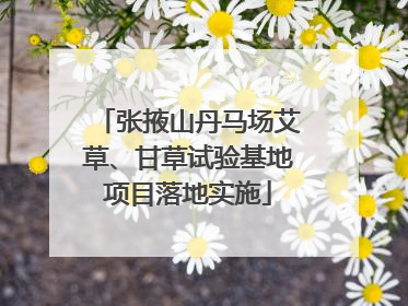 张掖山丹马场艾草、甘草试验基地项目落地实施