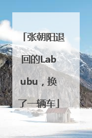 张朝阳退回的Labubu，换了一辆车