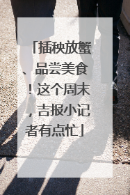 插秧放蟹、品尝美食！这个周末，吉报小记者有点忙