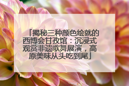揭秘三种颜色绘就的西博会甘孜馆：沉浸式观赏非遗歌舞展演，高原美味从头吃到尾