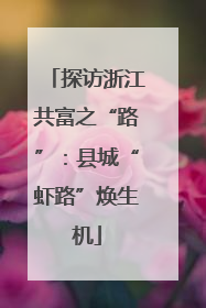 探访浙江共富之“路”：县城“虾路”焕生机