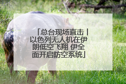 总台现场直击丨以色列无人机在伊朗低空飞翔 伊全面开启防空系统