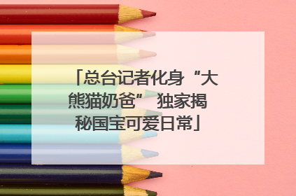 总台记者化身“大熊猫奶爸” 独家揭秘国宝可爱日常