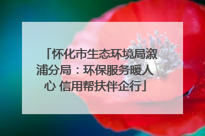 怀化市生态环境局溆浦分局：环保服务暖人心 信用帮扶伴企行
