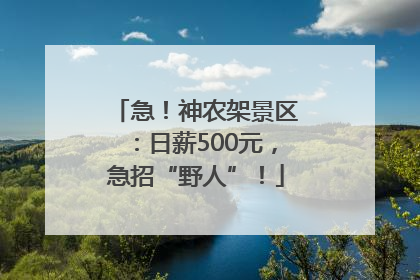 急！神农架景区：日薪500元，急招“野人”！