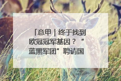 意甲｜终于找到欧冠冠军基因？“蓝黑军团”聘请国米名宿齐沃执教