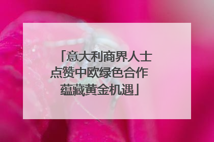 意大利商界人士点赞中欧绿色合作蕴藏黄金机遇