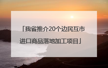 我省推介20个边民互市进口商品落地加工项目