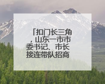 扣门长三角，山东一市市委书记、市长接连带队招商谋深度对接