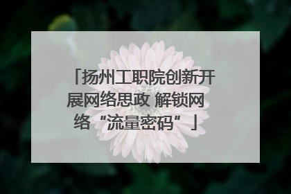 扬州工职院创新开展网络思政 解锁网络“流量密码”