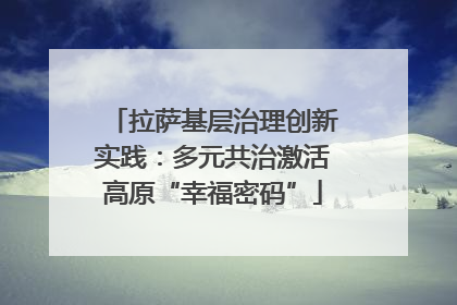 拉萨基层治理创新实践：多元共治激活高原“幸福密码”